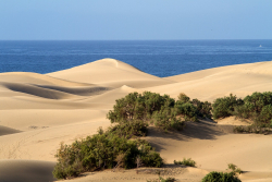 Kultur Las Palmas Gran Canaria